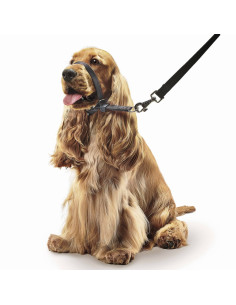 Beaphar Gentle Leader повод срещу дърпане за куче, черен, средни породи 2