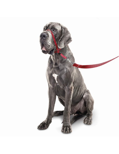 Beaphar Gentle Leader повод срещу дърпане за куче, червен, едри породи