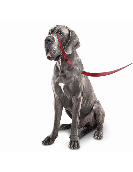 Beaphar Gentle Leader повод срещу дърпане за куче, червен, едри породи
