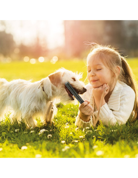 Beaphar Dental Sticks Small - 7 бр., 112гр, дентални пръчки за свеж дъх и чисти зъби