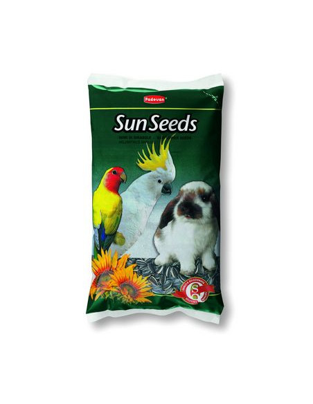 SunSeeds - /слънчогледови семки/