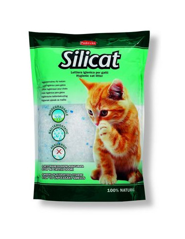 Silicat