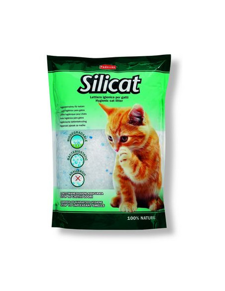 Silicat