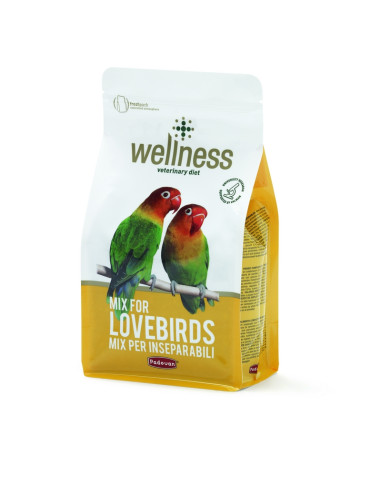 Wellness Премиум храна за неразделки