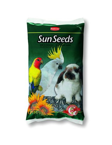 SunSeeds - /слънчогледови семки/