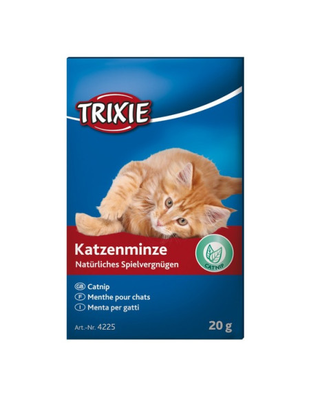 Катнип 20гр.