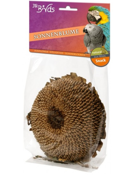 Слънчегледова пита