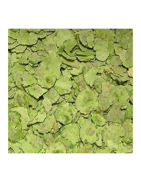 Люспи от грах