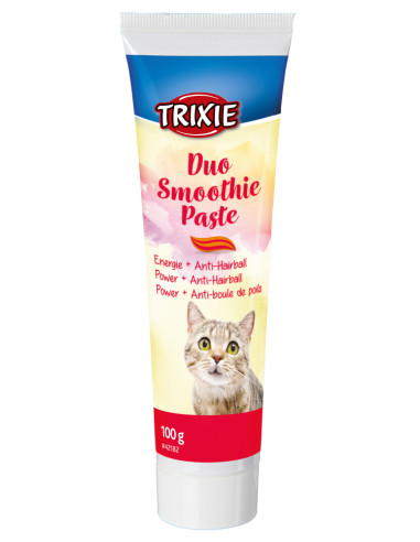 Смути паста с плодове.