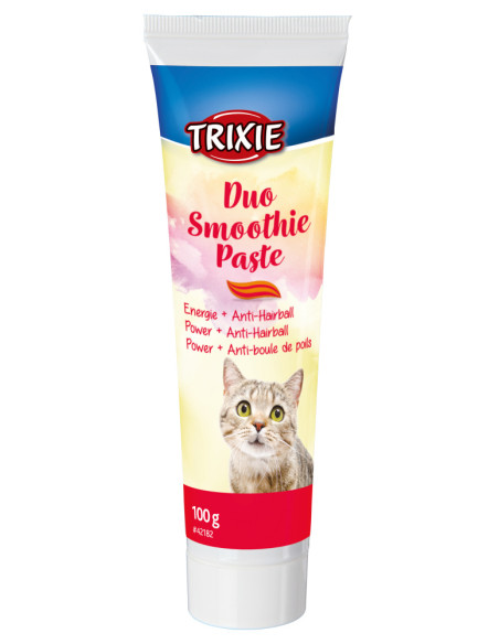 Смути паста с плодове.