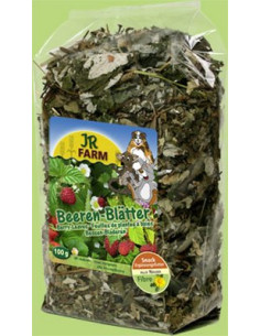 Ягодоплодни листа за гризачи 2