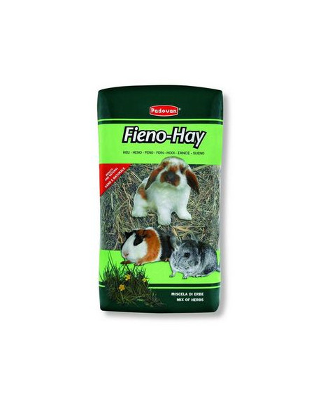 Fieno-Hay