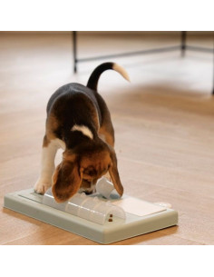 Интерактивна играчка за кучета Beeztees Braingame Riff Зелен 2