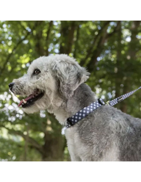 Повод за куче Flamingo Leash Salome сив 20мм L