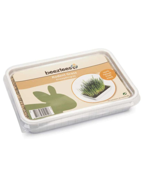 Трева Beeztees Rodent Grass за гризачи в пластмасова кутия 130 гр.